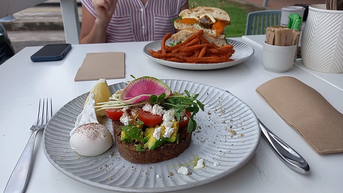 The Little Olive - 2