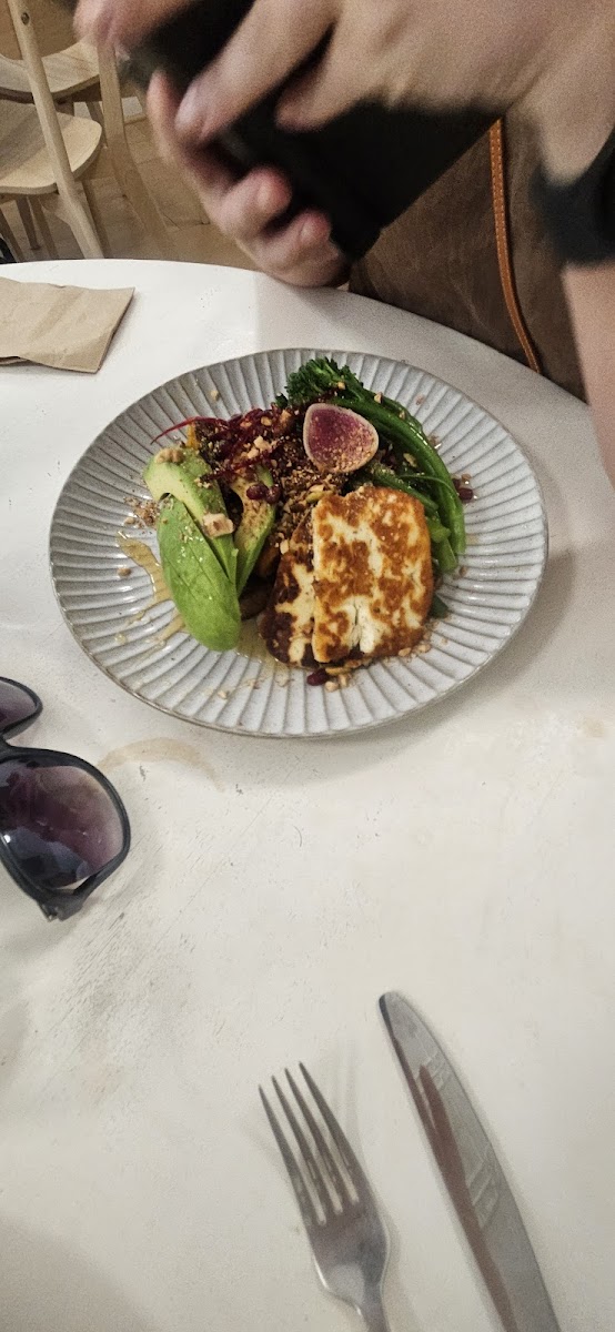 The Little Olive - 7