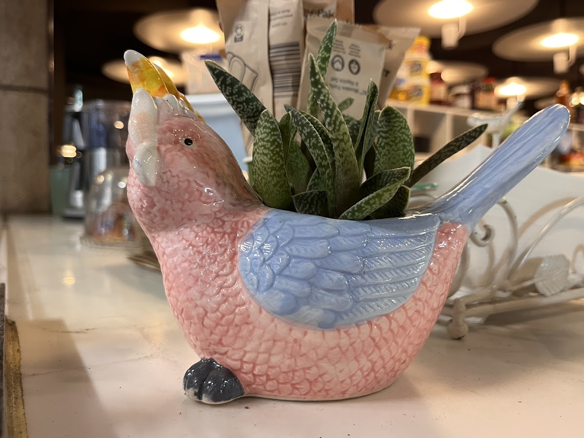 Town Hall Espresso - 3