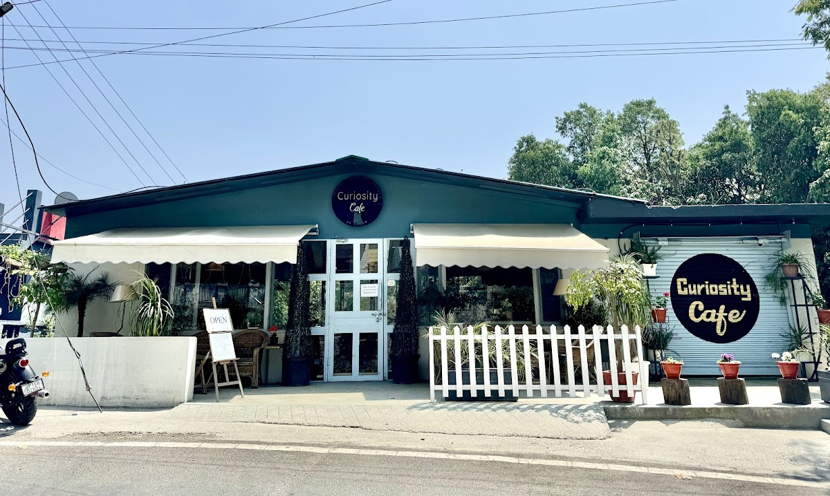Curiosity Cafe