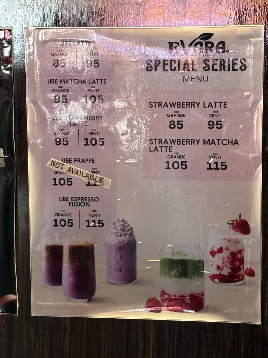 Evara Coron Palawan - 6