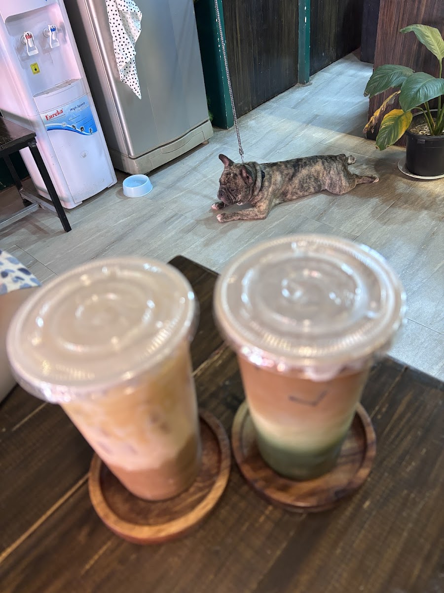 Evara Coron Palawan - 9