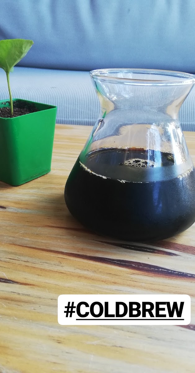 Varietal Coffee Roasters - Valle de Ángeles - 10