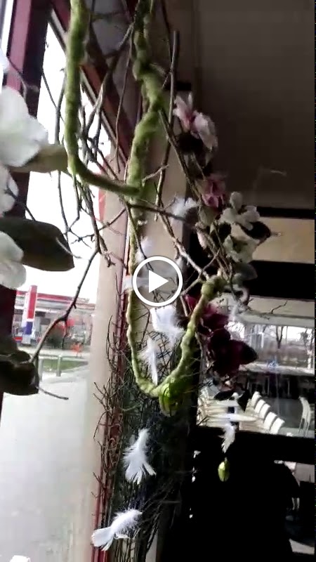 Caffe bar In Time - 2