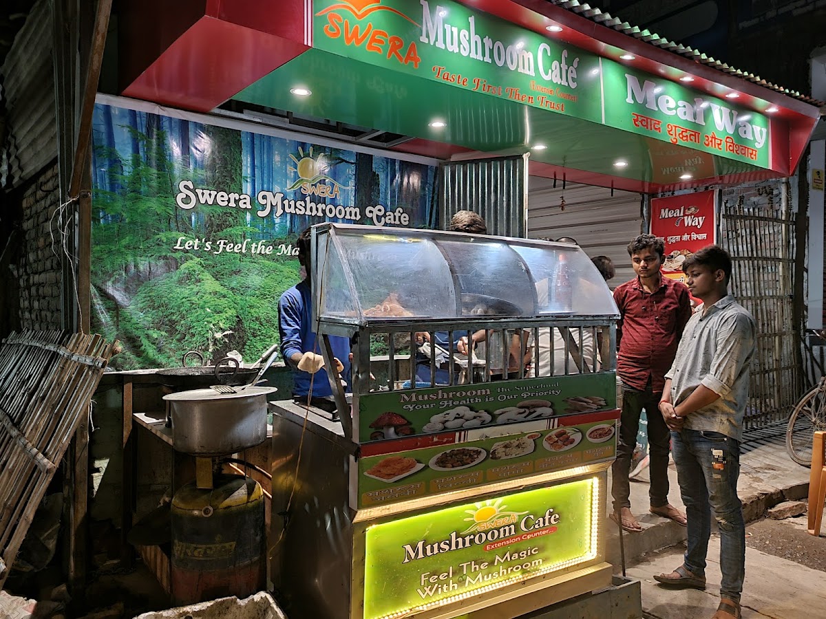 Swera Mushroom Cafe