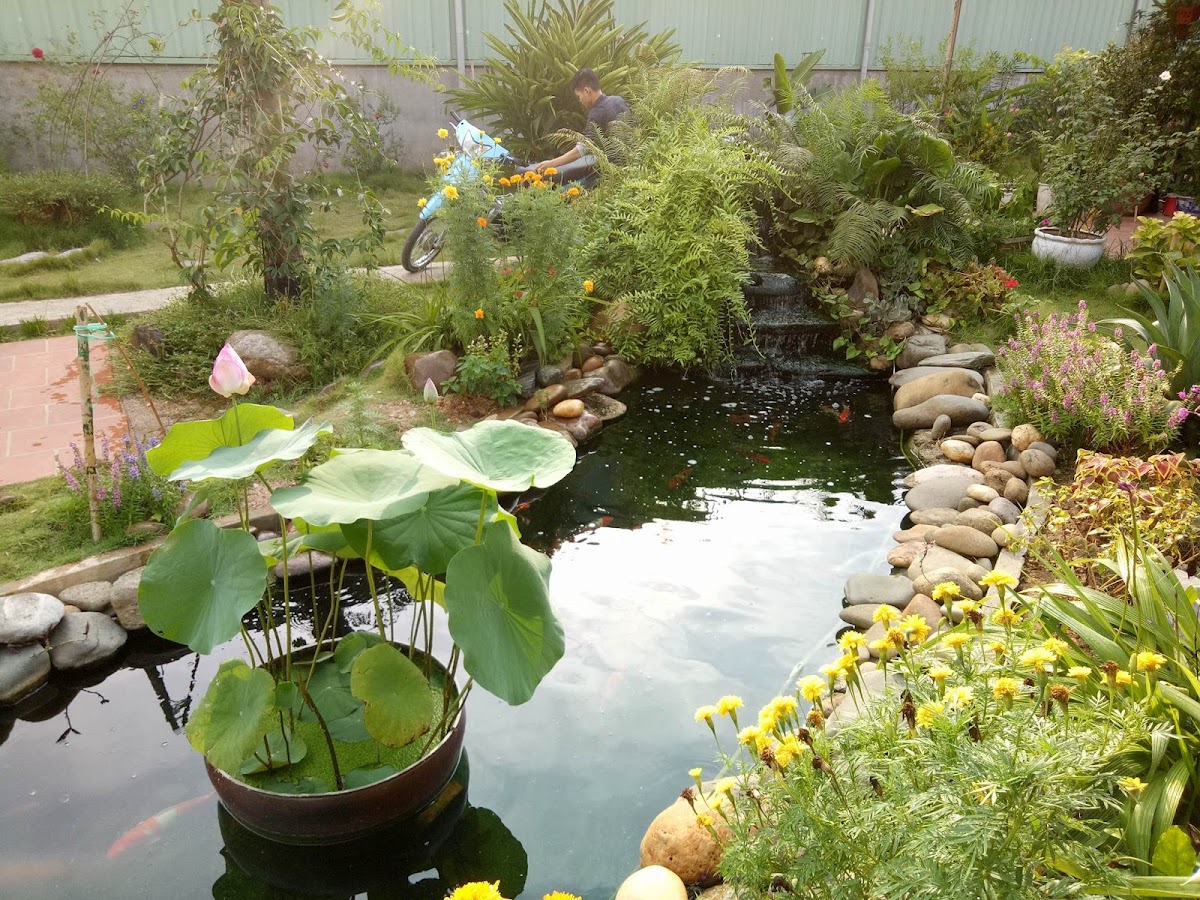 Cafe Quán Trúc - 3