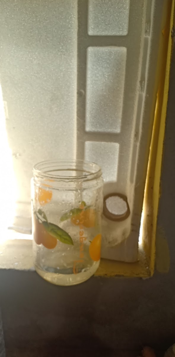 Cafe Quán Trúc - 5