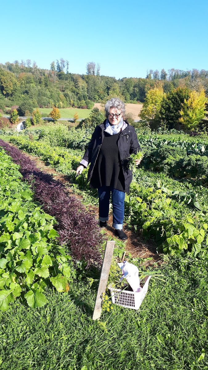 Bistro & Café Freiraum - 2