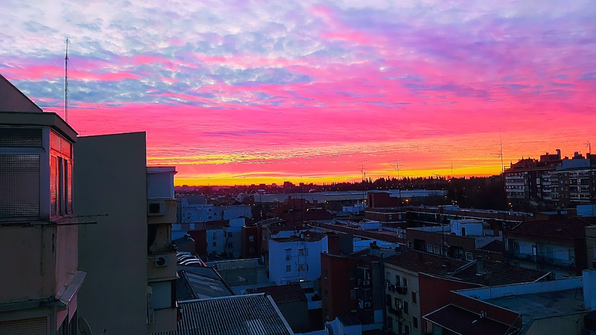 Café Espectaculo Paseo Del Sabor