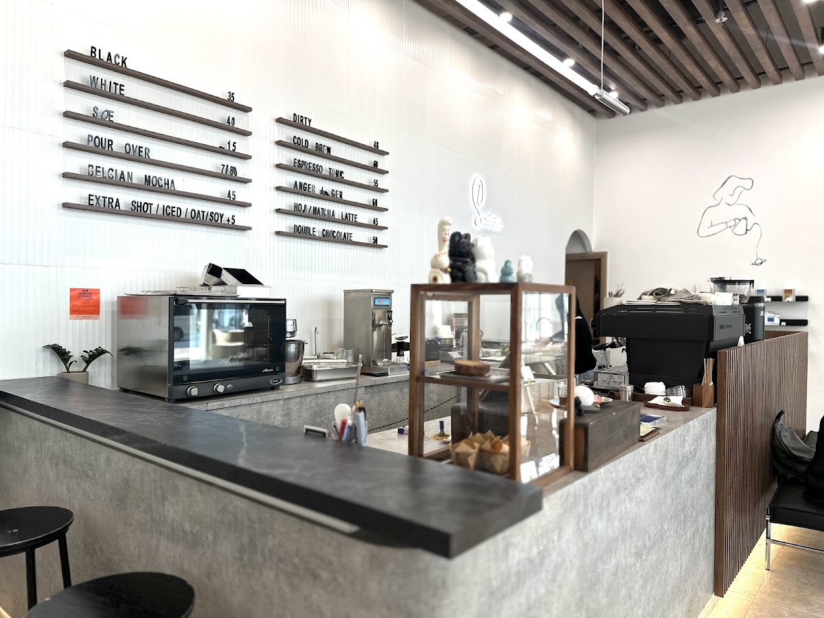 Saturn Coffee Roaster