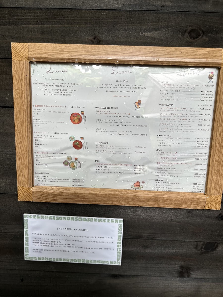 +h café kamakura / アッシュカフェカマクラ - 9