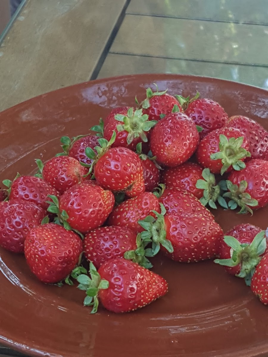 Emiralem Çilek Cafe - 6