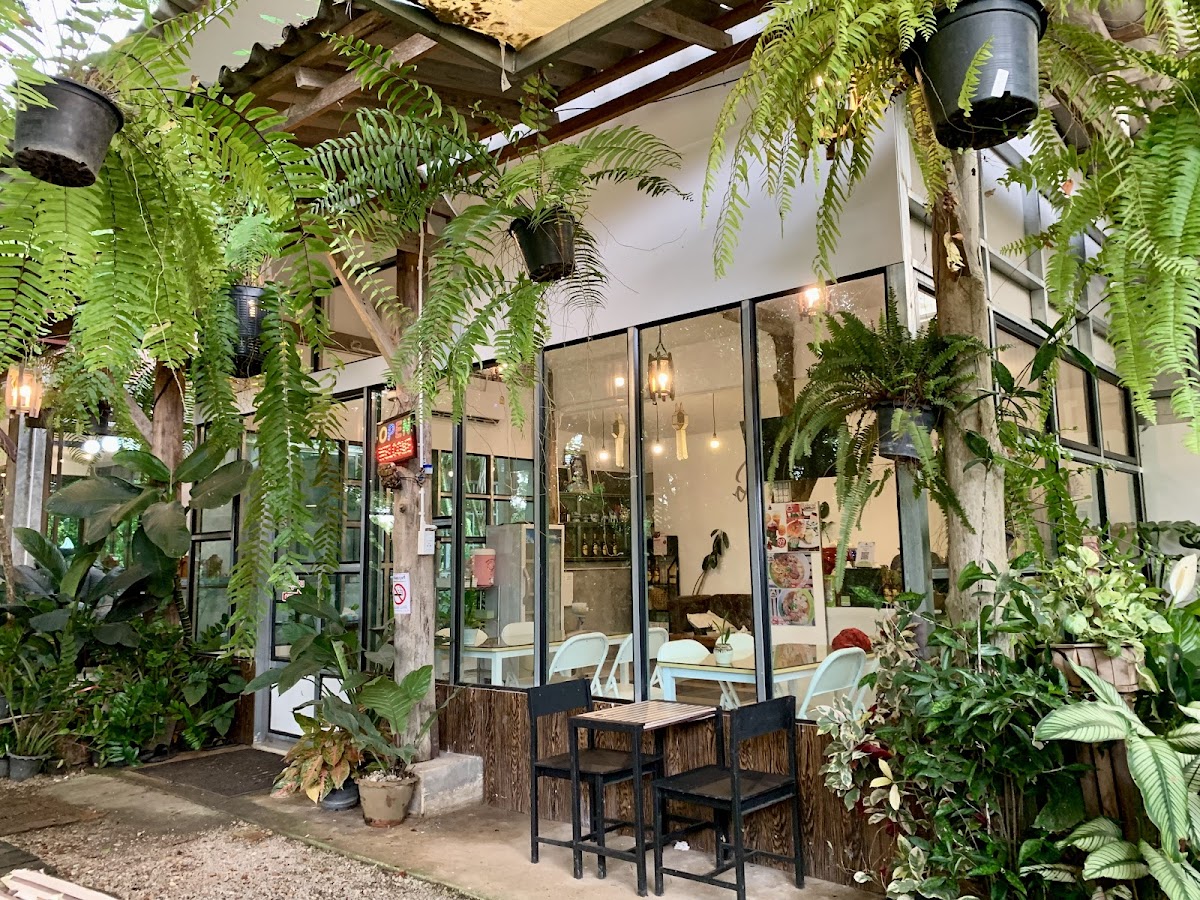 บ้านสวนดวงพร รีสอร์ท (Baansuanduangporn Resort)