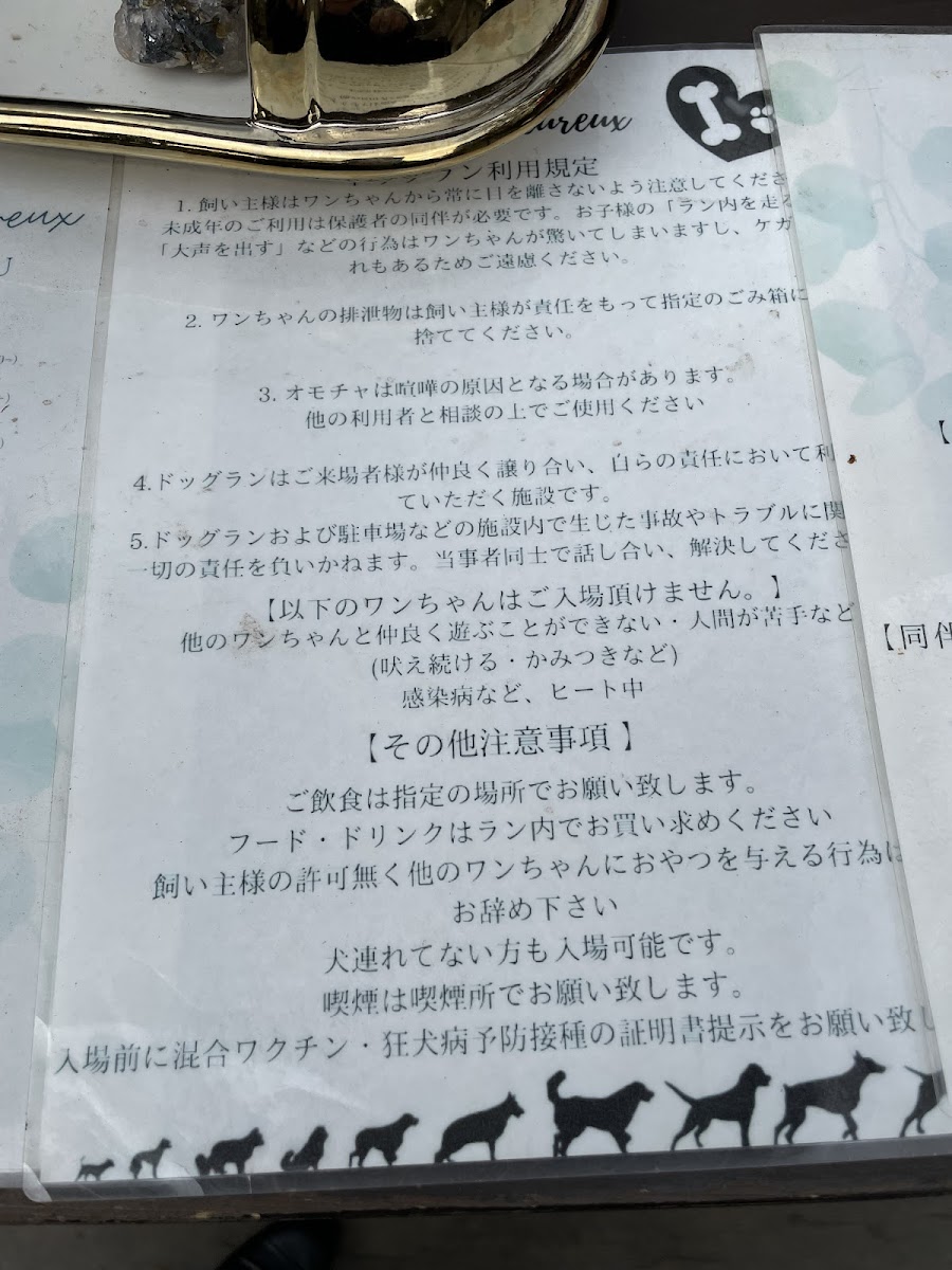 le chien heureux(ル シアン ウールー) - 4