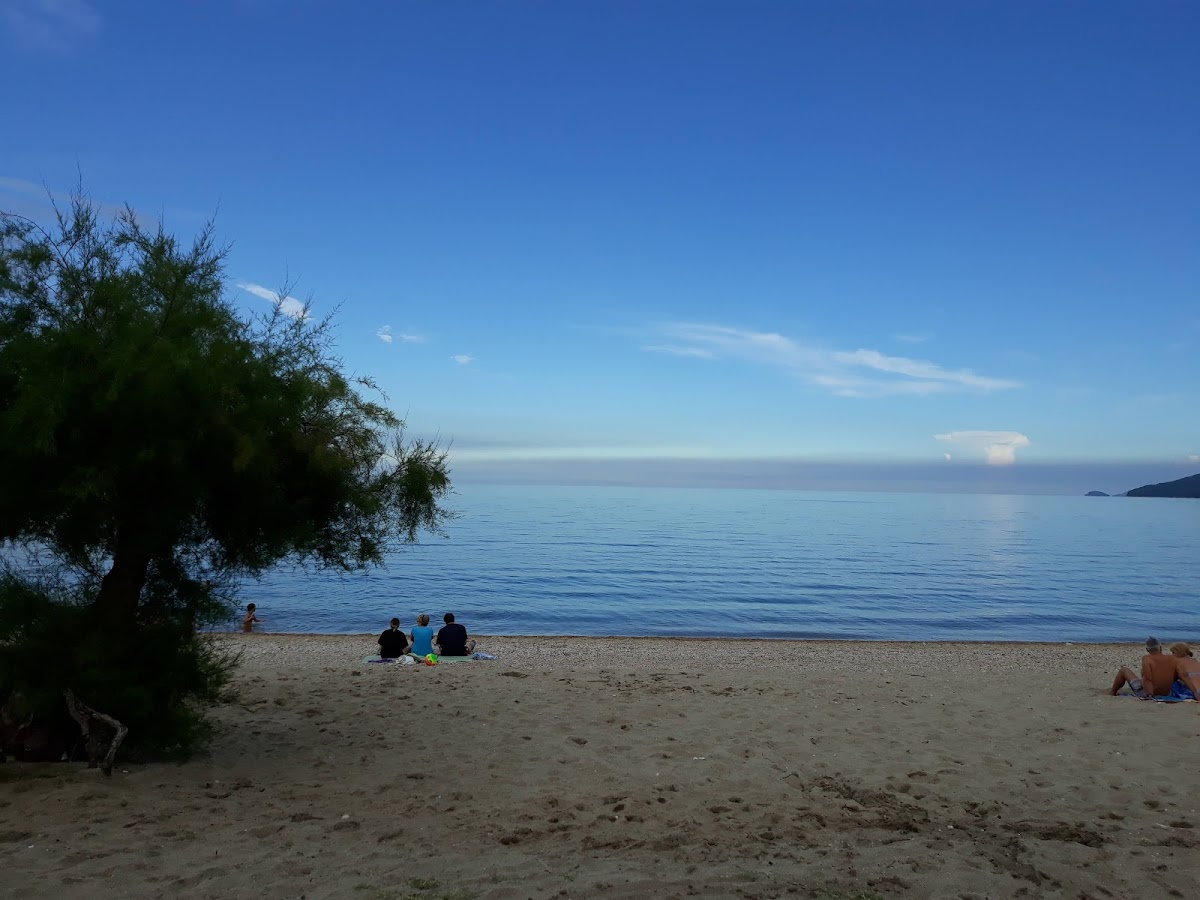 Time Coffee & Snacks - 4