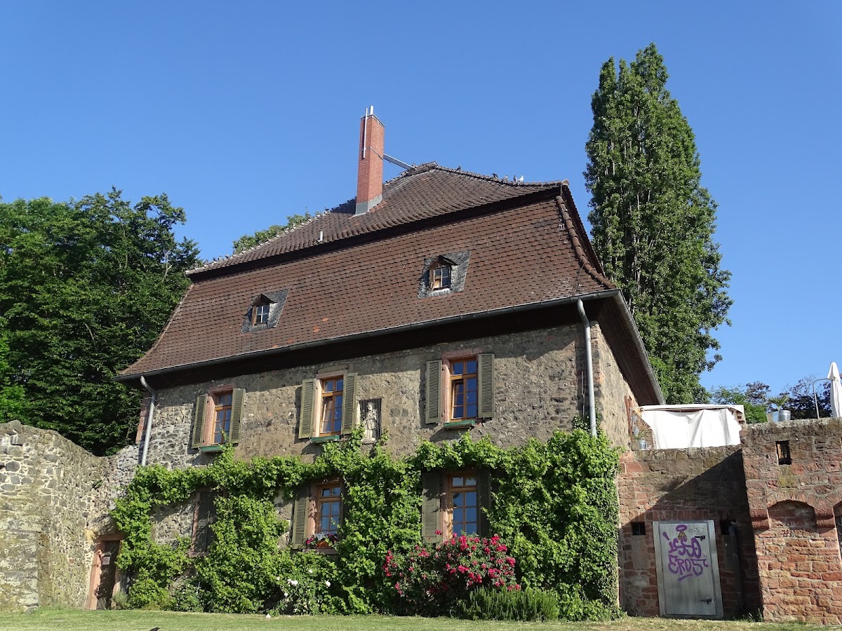 Mainmuhle Hochst - 3