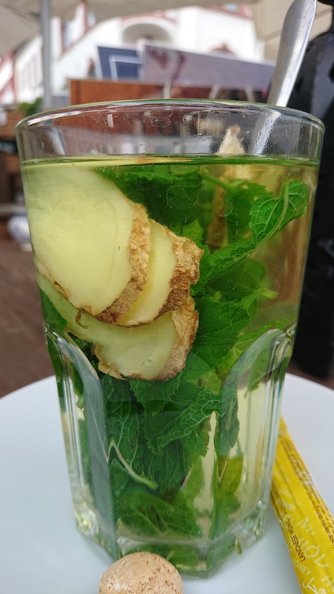 Mainmuhle Hochst - 9