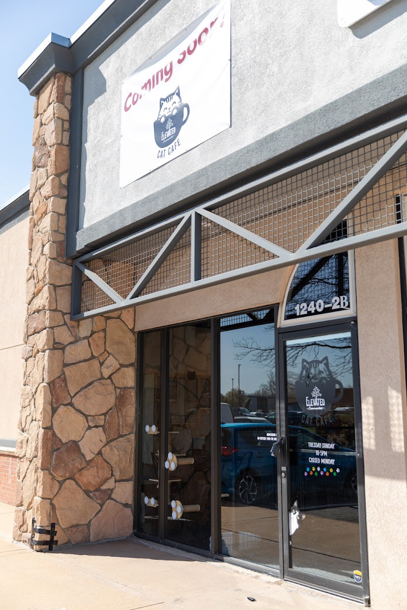 Elevated Communities Cat Cafe