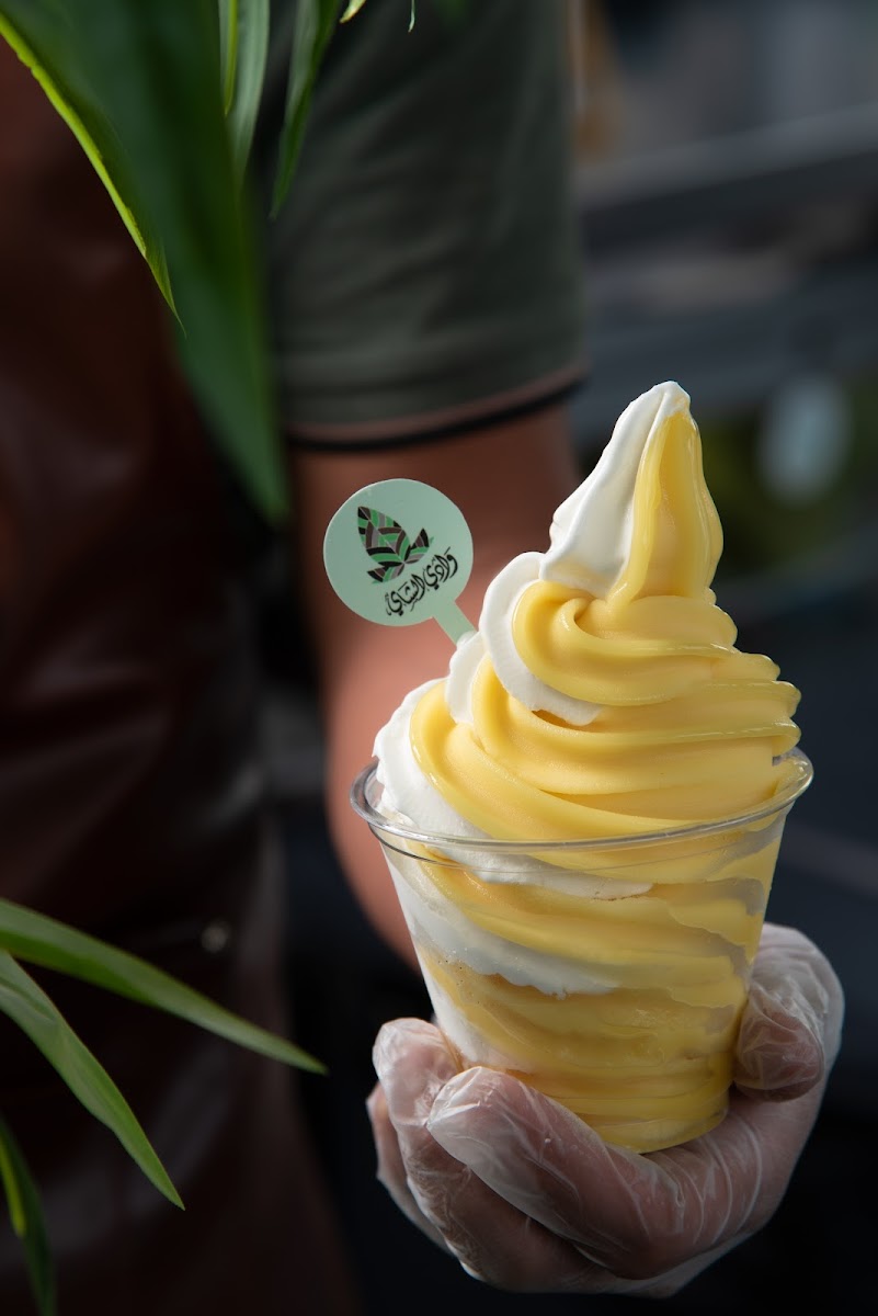 Tea Valley وادي الشاي - 10