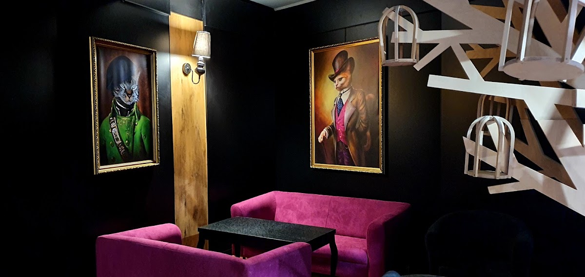 LORD KOT Kocia kawiarnia