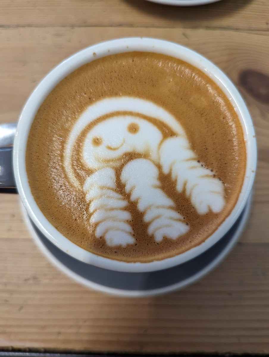 Pogo Coffee Roasters - 9