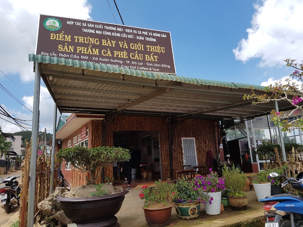 HTX Cà phê Cầu Đất