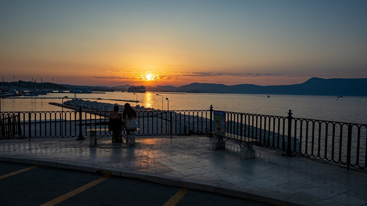 Bellini Cafe, bar - 4