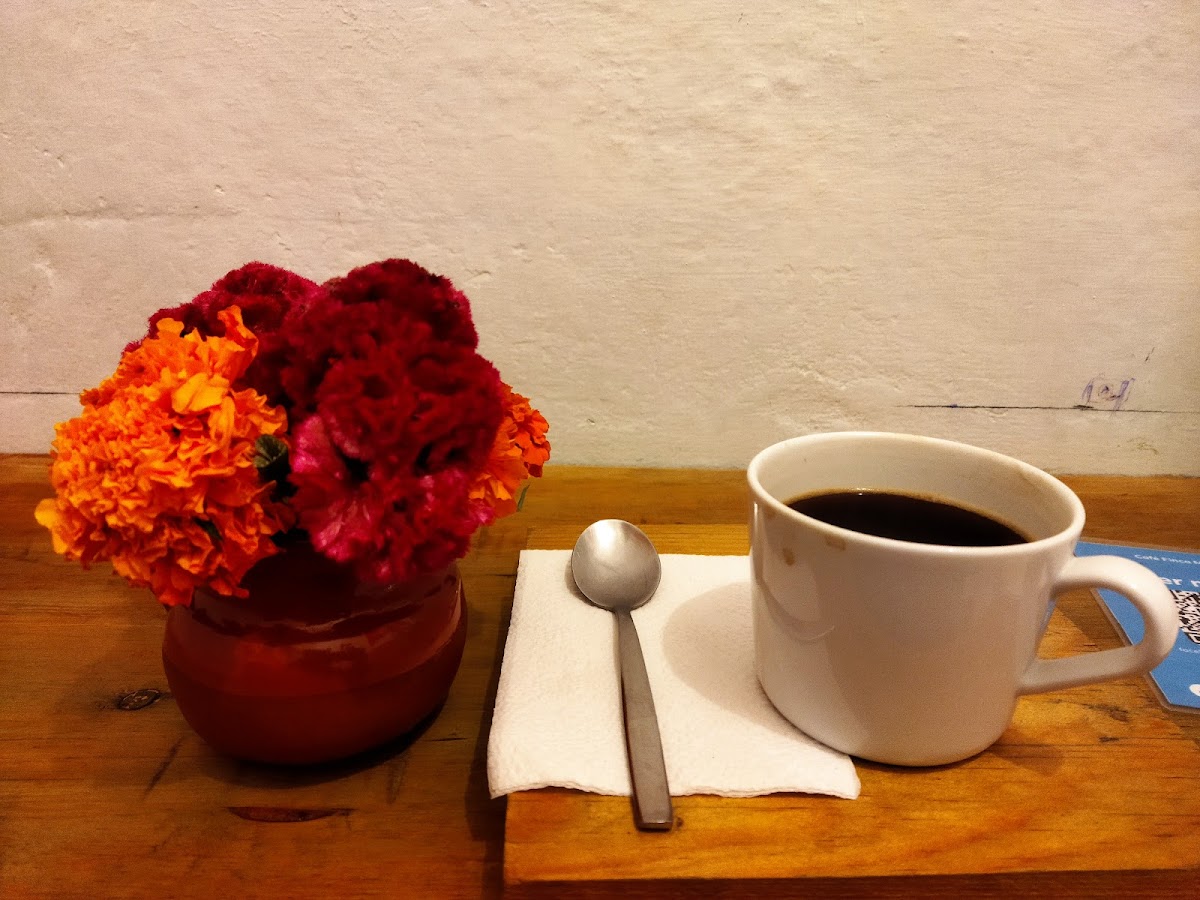 Cafe Finca Meztli - 5