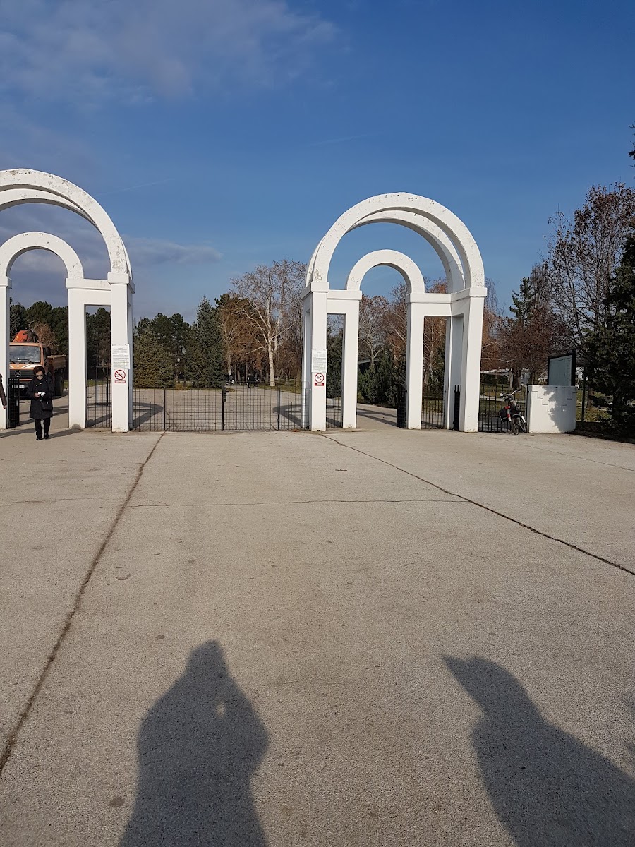 Caffe bar Lumino - 2