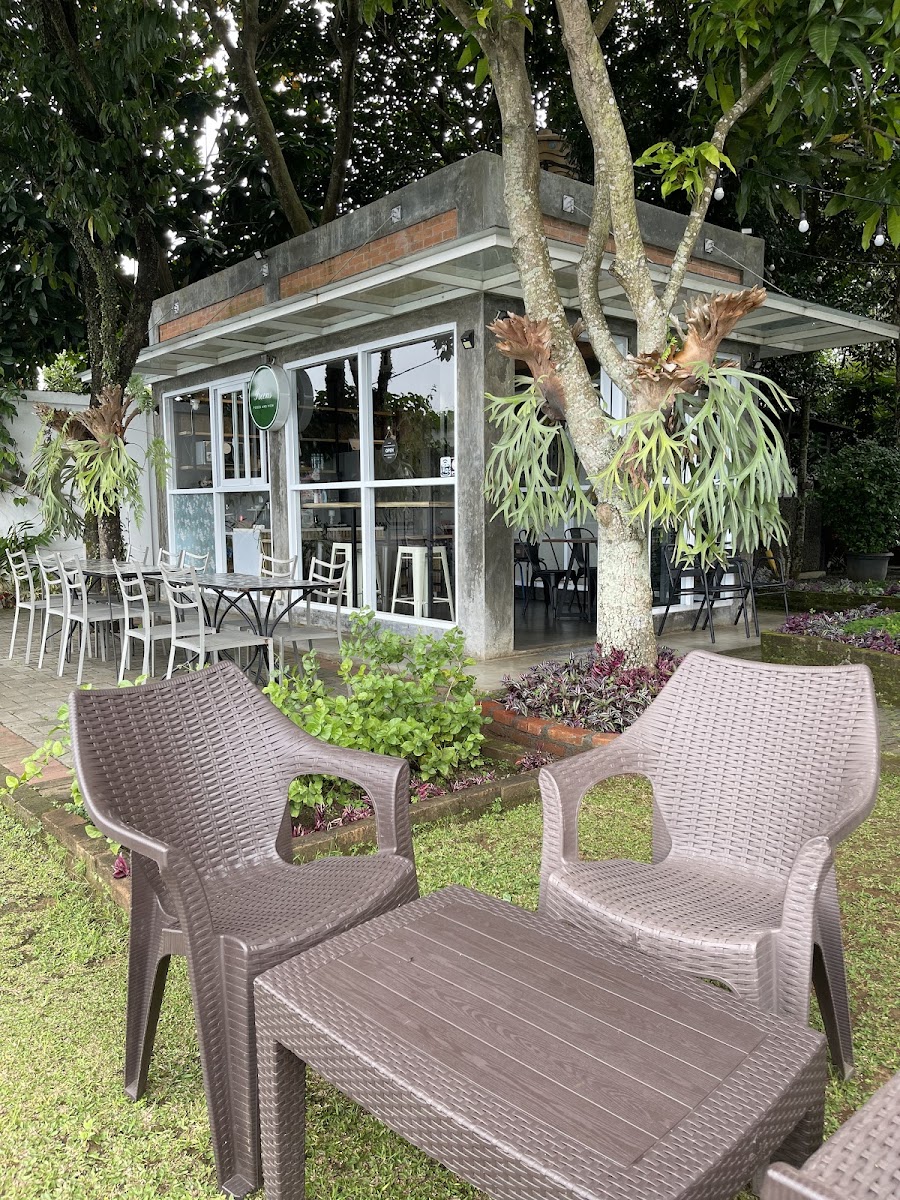 Greens Foods and View