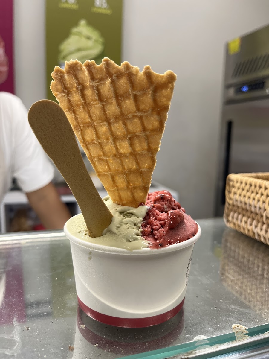 Gelato Factory Single Fin - 10