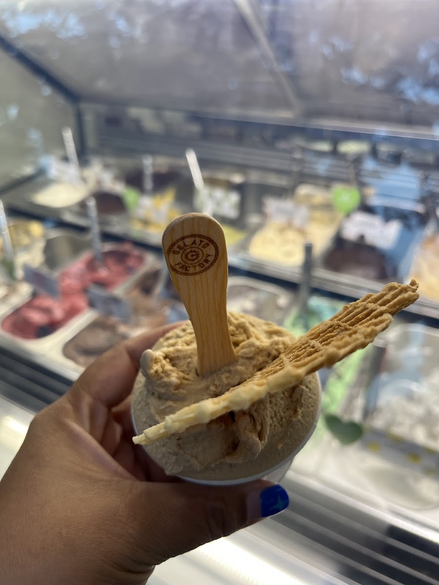 Gelato Factory Single Fin - 2