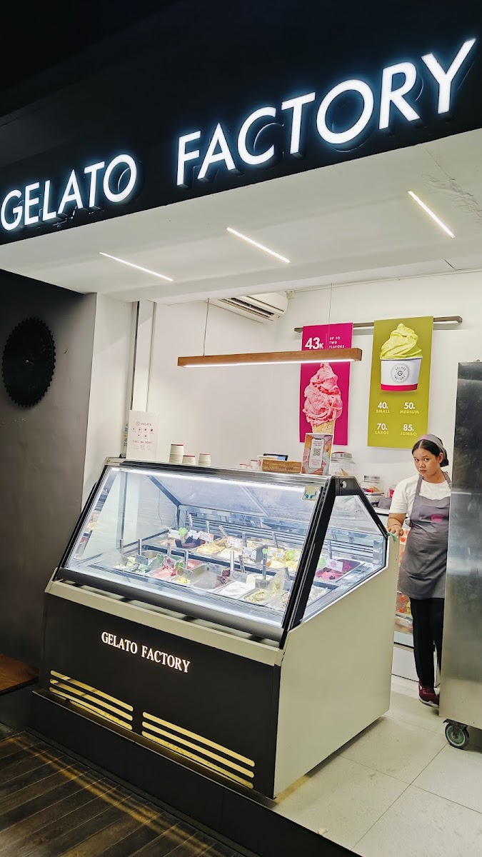 Gelato Factory Single Fin - 4