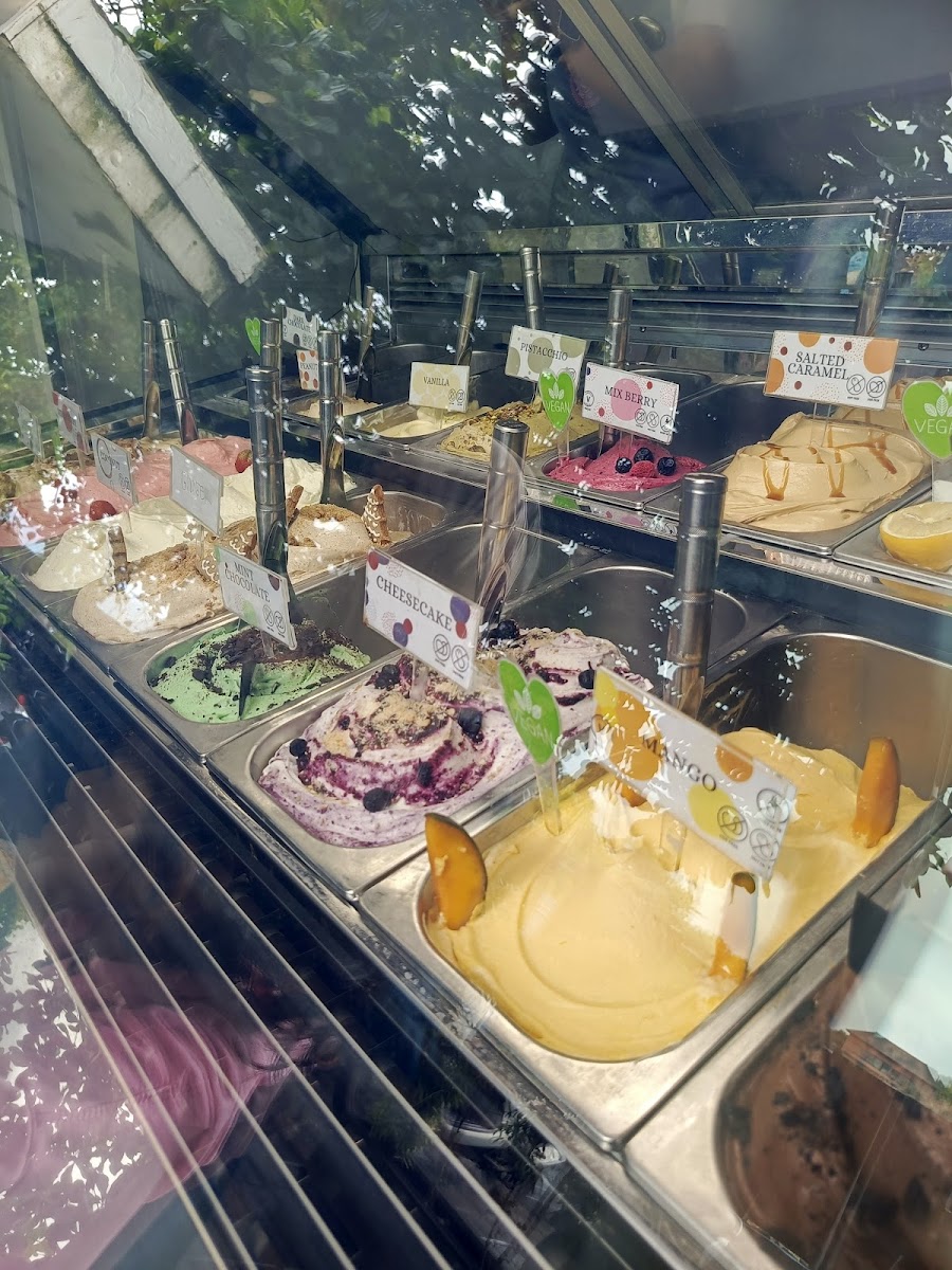 Gelato Factory Single Fin - 5