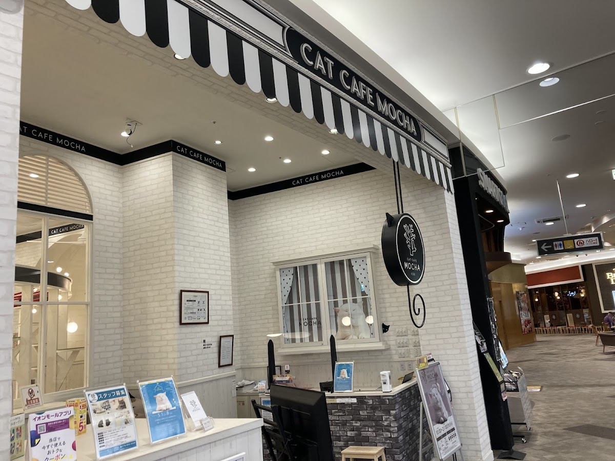 CAT CAFE MOCHA AEON MALL Kobe-kita