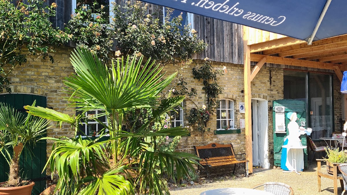 Café auf dem Rosenhof - Hohn