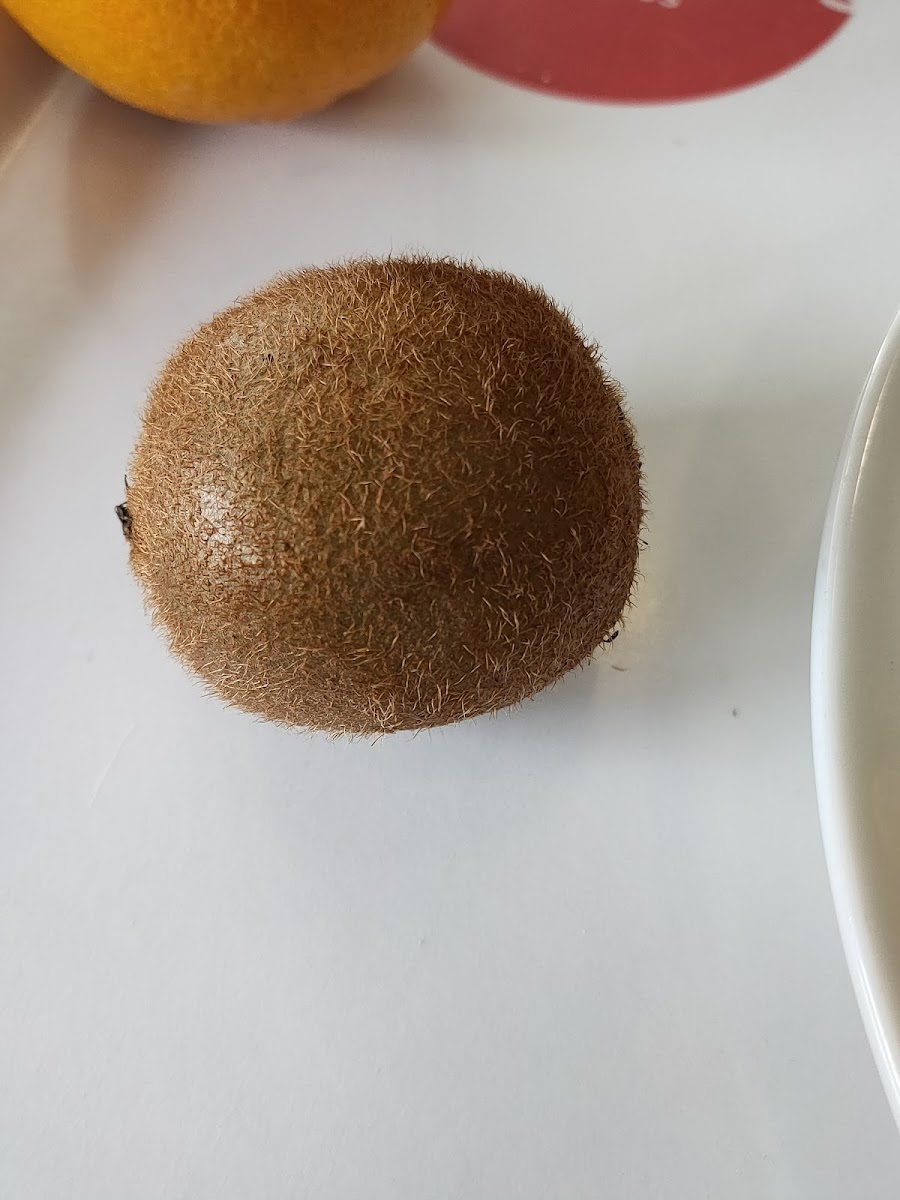 Restaurant Universitaire de l'Université Paris Nanterre - 9