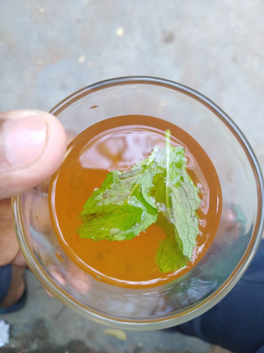 Velu Annan's Tea Shop, Pondicherry University - 6