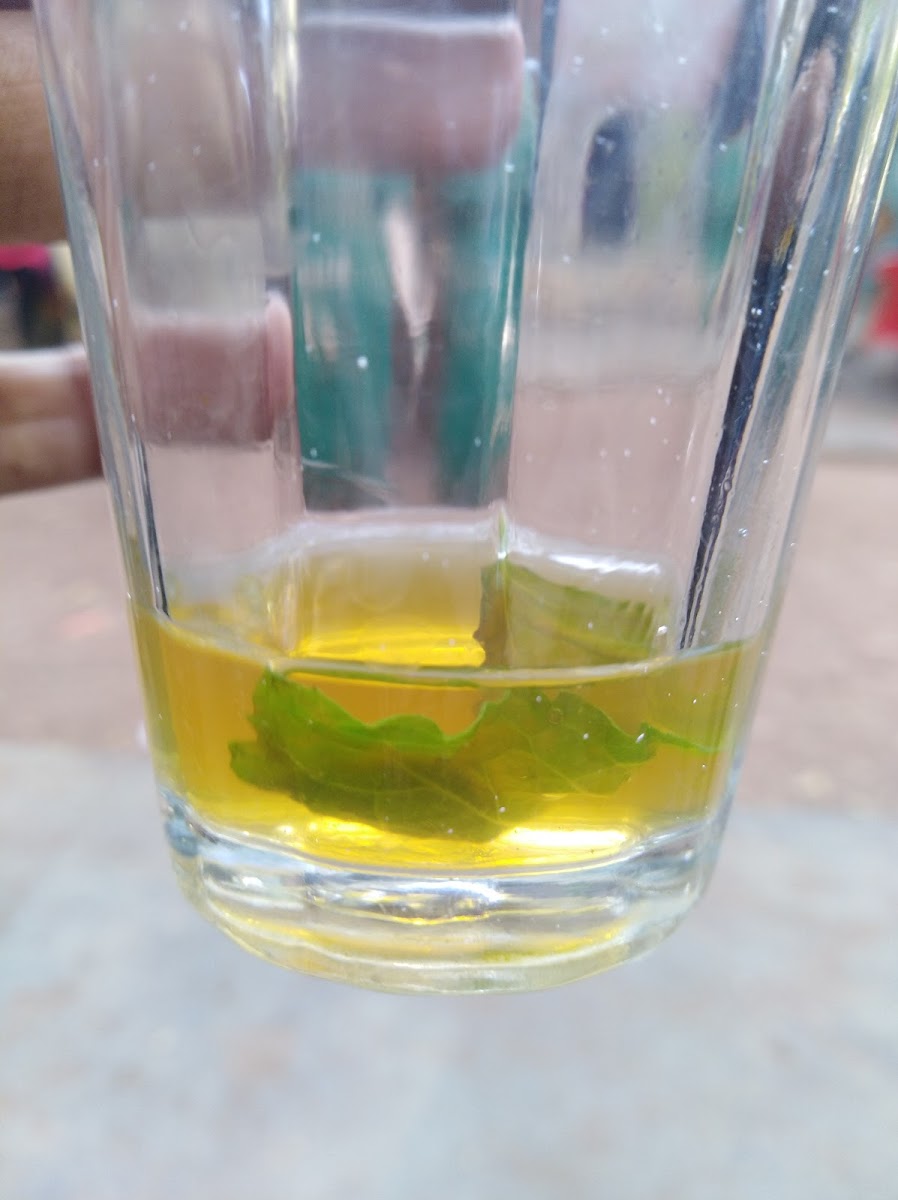 Velu Annan's Tea Shop, Pondicherry University - 7