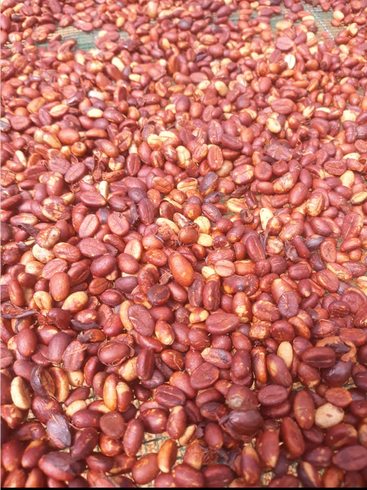 cafe thủy mộc đức trọng - 9