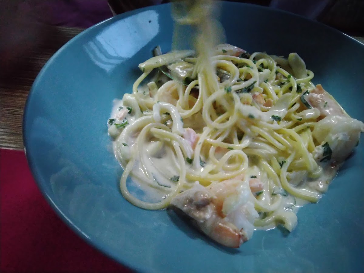 Cafe-bar 'guests' - 7