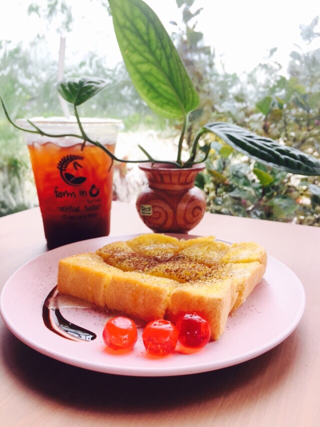 Farm in C - Cafe & Restaurant ฟาร์มอินซีคาเฟ่แอนด์เรสเตอรองต์ (จิปแฟ...แลควาย) - 3