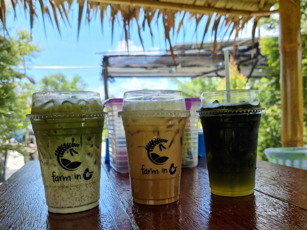 Farm in C - Cafe & Restaurant ฟาร์มอินซีคาเฟ่แอนด์เรสเตอรองต์ (จิปแฟ...แลควาย) - 5