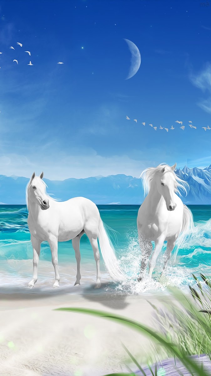 Tempo Cafe تيمبو كافيه - 3