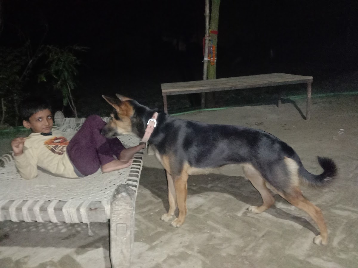 Mahesh Cyber Cafe & Sahaj Jan Sewa Kendra , CSC Point ????☝️ - 4