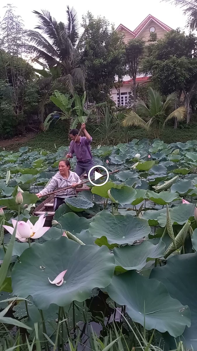 Cafe Gió Đồng - 2