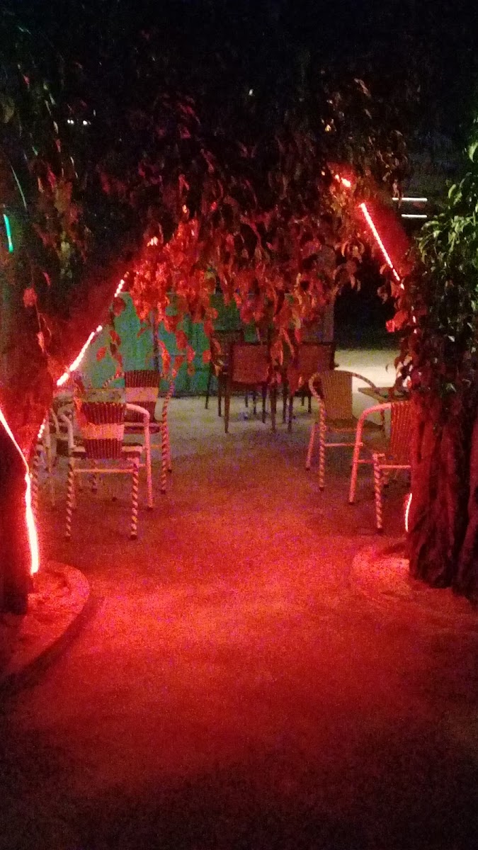 Coffee shop Lighthouse - 5