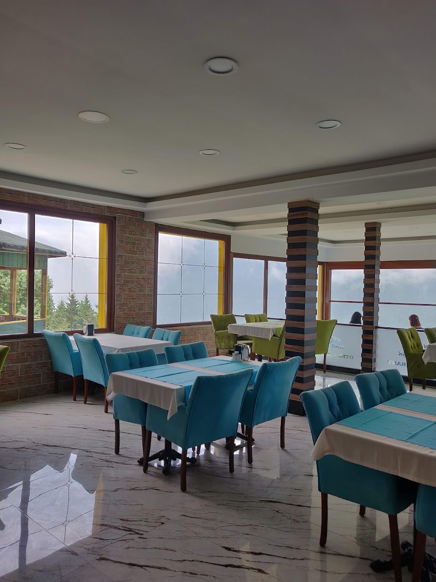 Blue green cafe uzangol