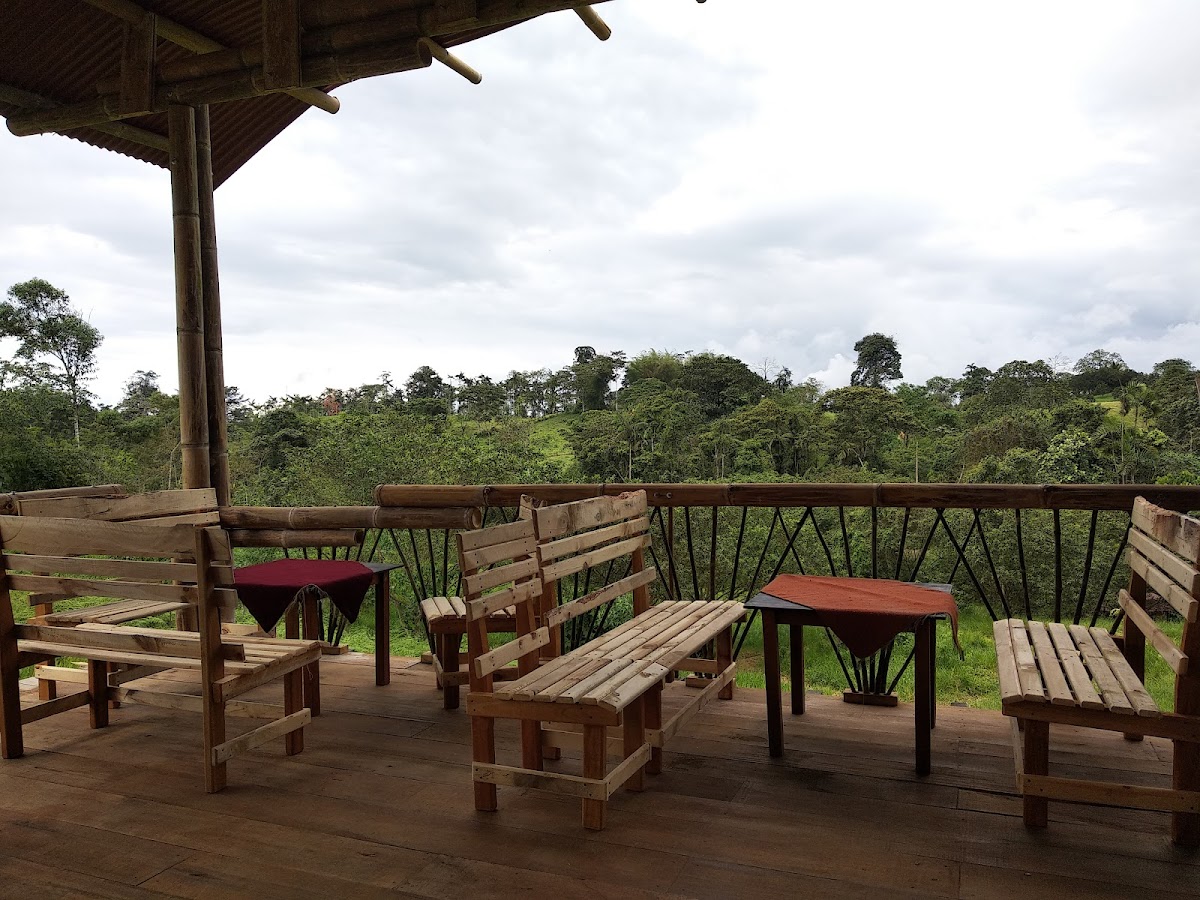 Artie - Café with a view