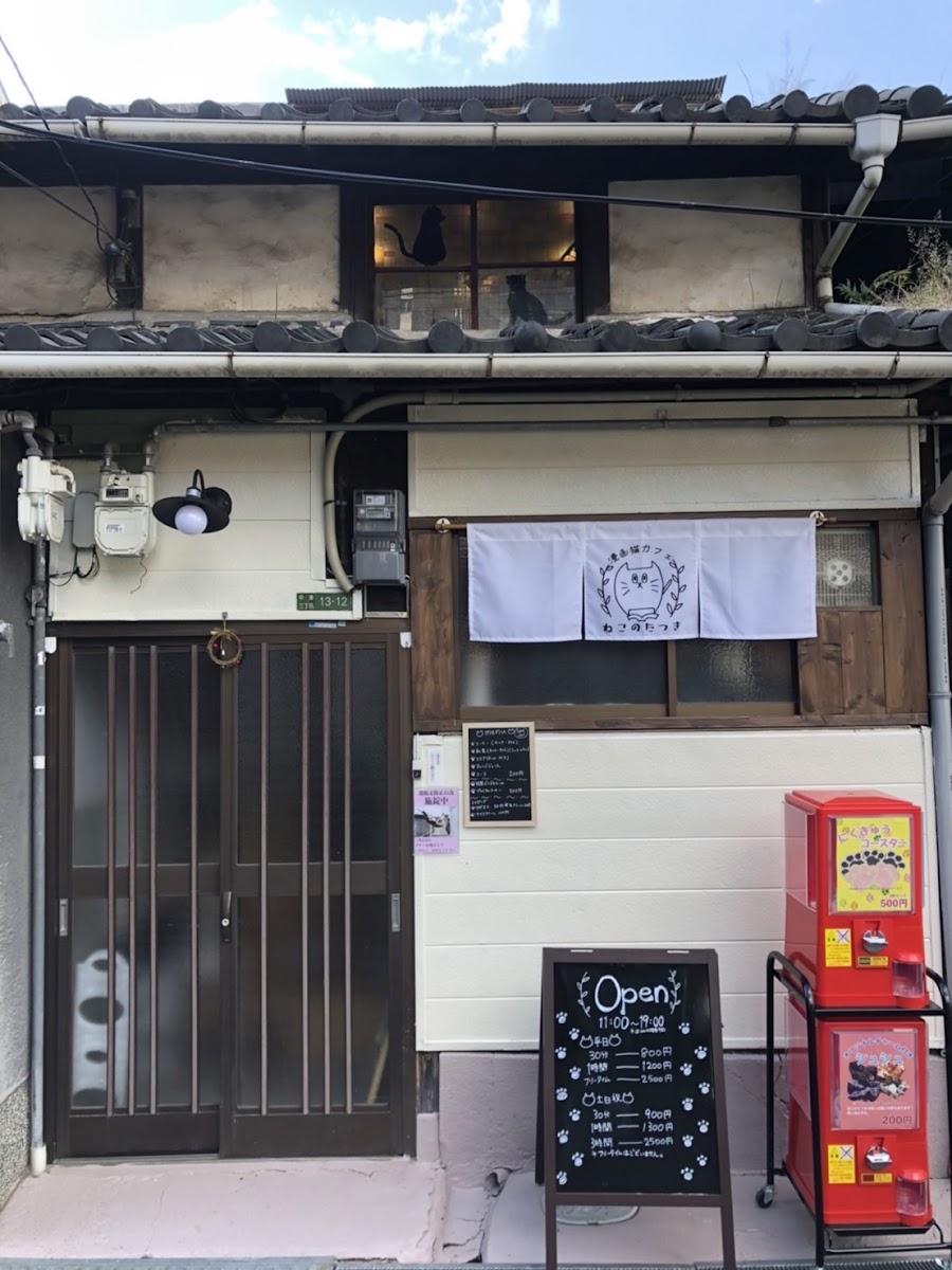 Manga Cat Cafe Tatsuki